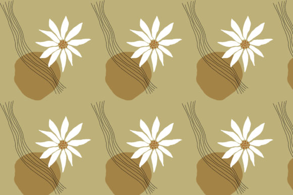 Cute White Flower Pattern